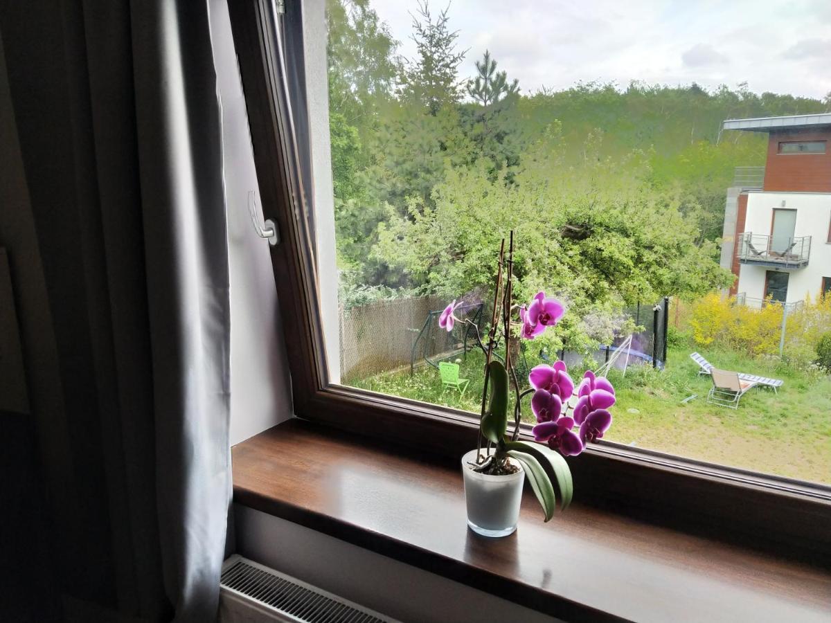 Apartament Z Tarasem 格丁尼亚 外观 照片